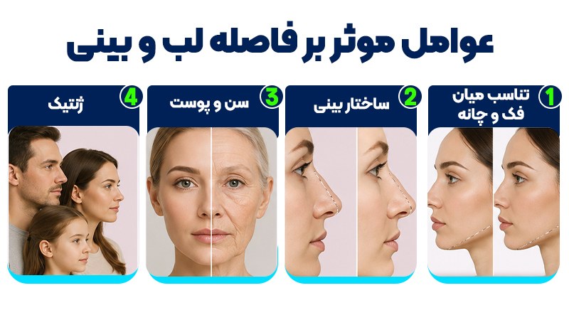 فاصله مناسب بین لب و بینی چقدر است؟ بهترین زمان پیشنهاد سانترال لب 2 عوامل موثر بر فاصله لب و بینی